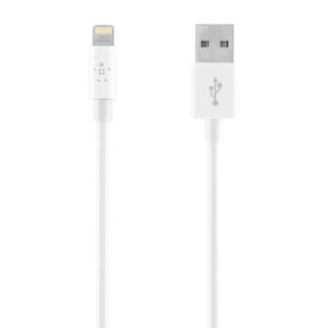 Apple Lighting to USB Cable